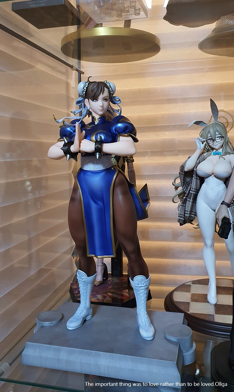 장식장에서 한컷 춘리~_1.jpg