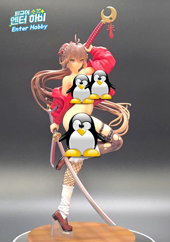 불요불굴 비기 이도류 카게누이노마이_12.jpg