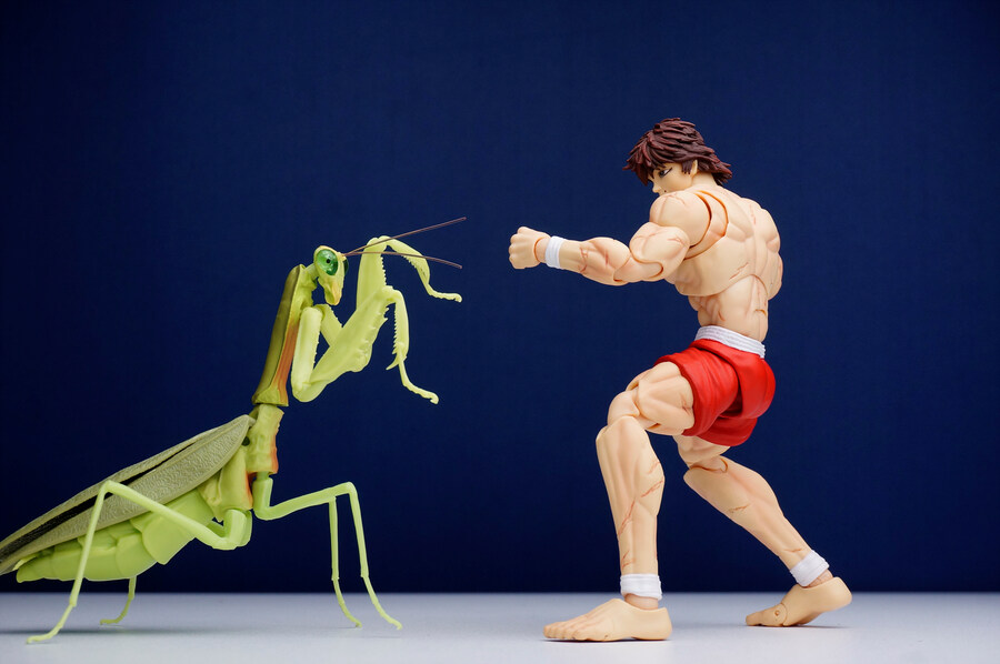 스톰 아레나 한마 바키_28.jpg