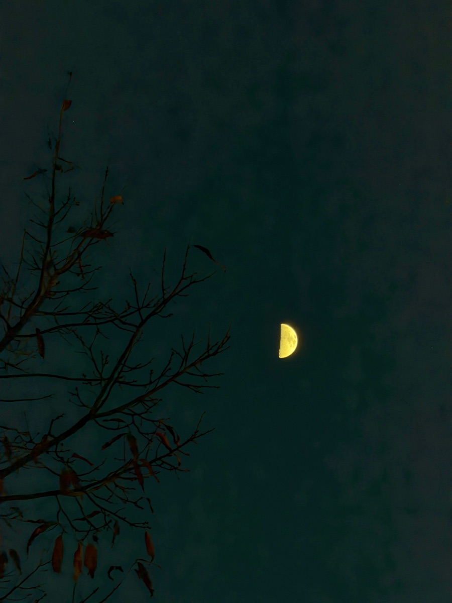 달성군 비슬산 자연휴양림_5.jpeg