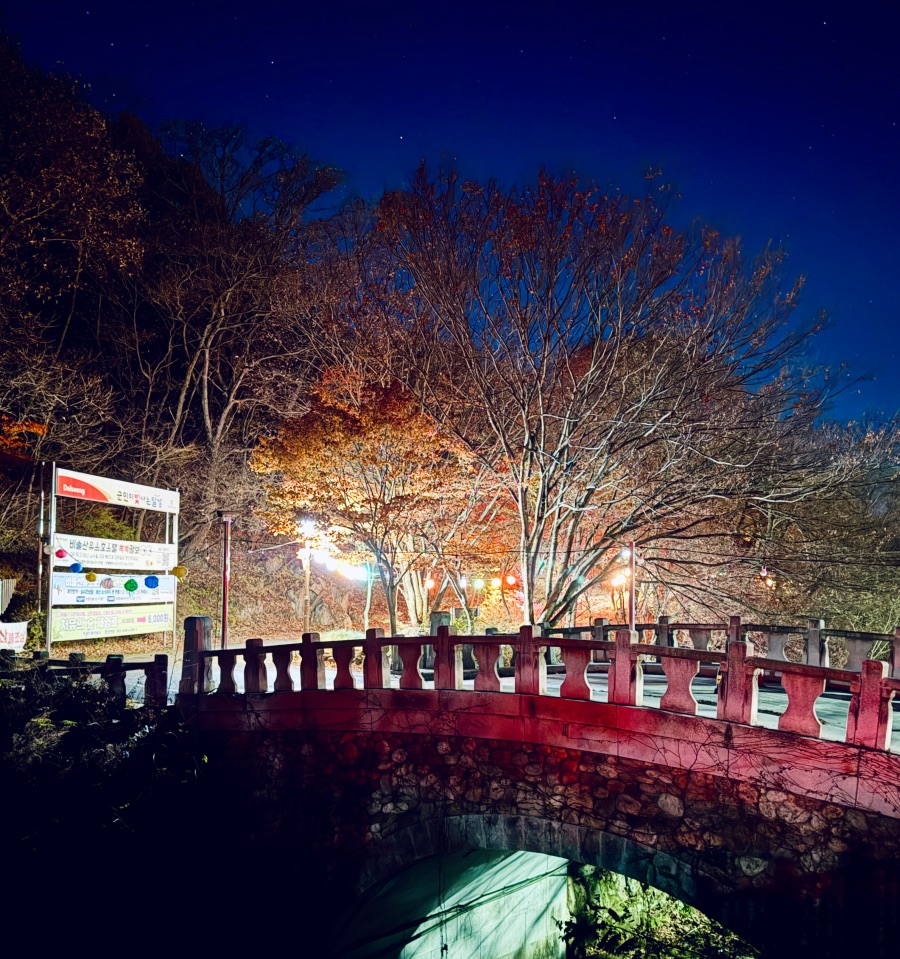 달성군 비슬산 자연휴양림_11.jpeg