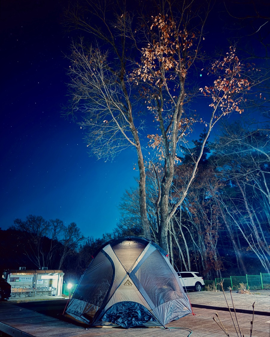 달성군 비슬산 자연휴양림_12.jpeg