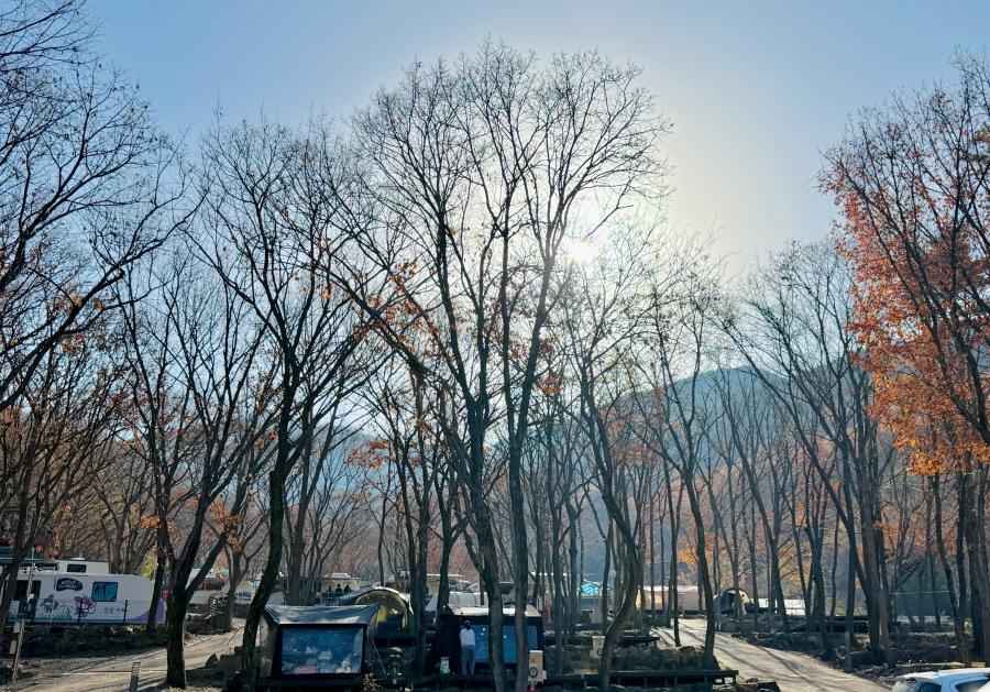 달성군 비슬산 자연휴양림_16.jpeg