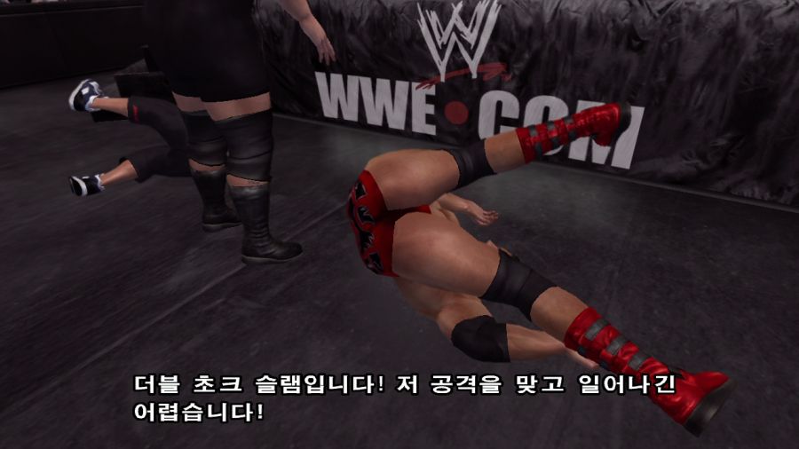 WWE 스맥다운vs로우 2007_22.jpg