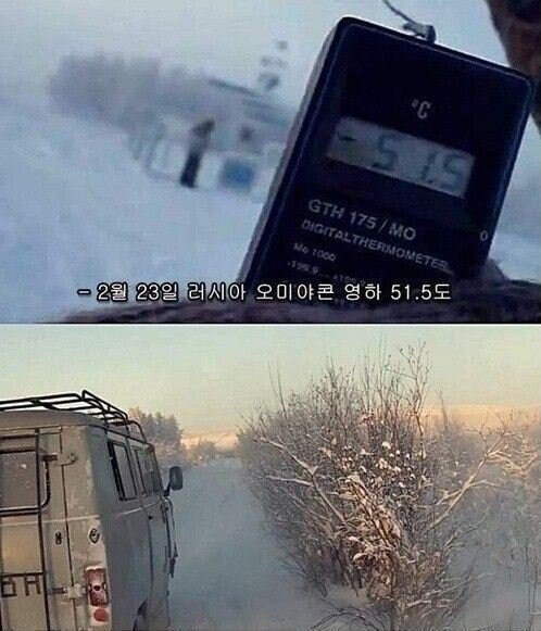 러시아 사람이 느끼는 추위 수준.jpg_1.jpg