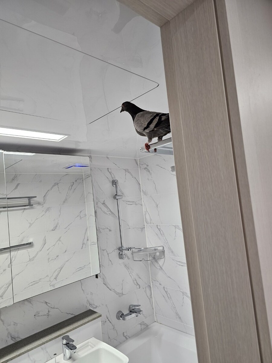 요즘 새아파트 근황_1.jpg