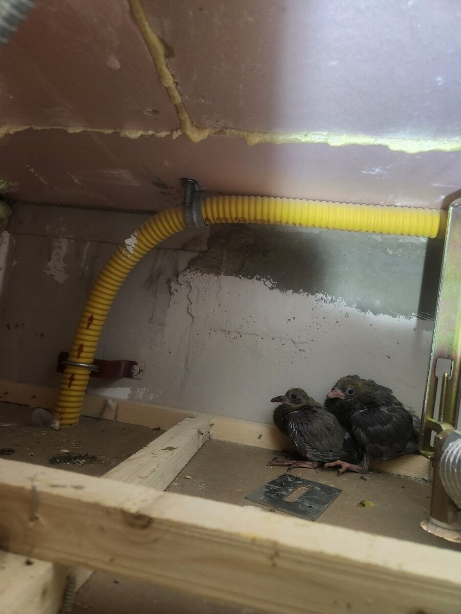 요즘 새아파트 근황_2.jpg