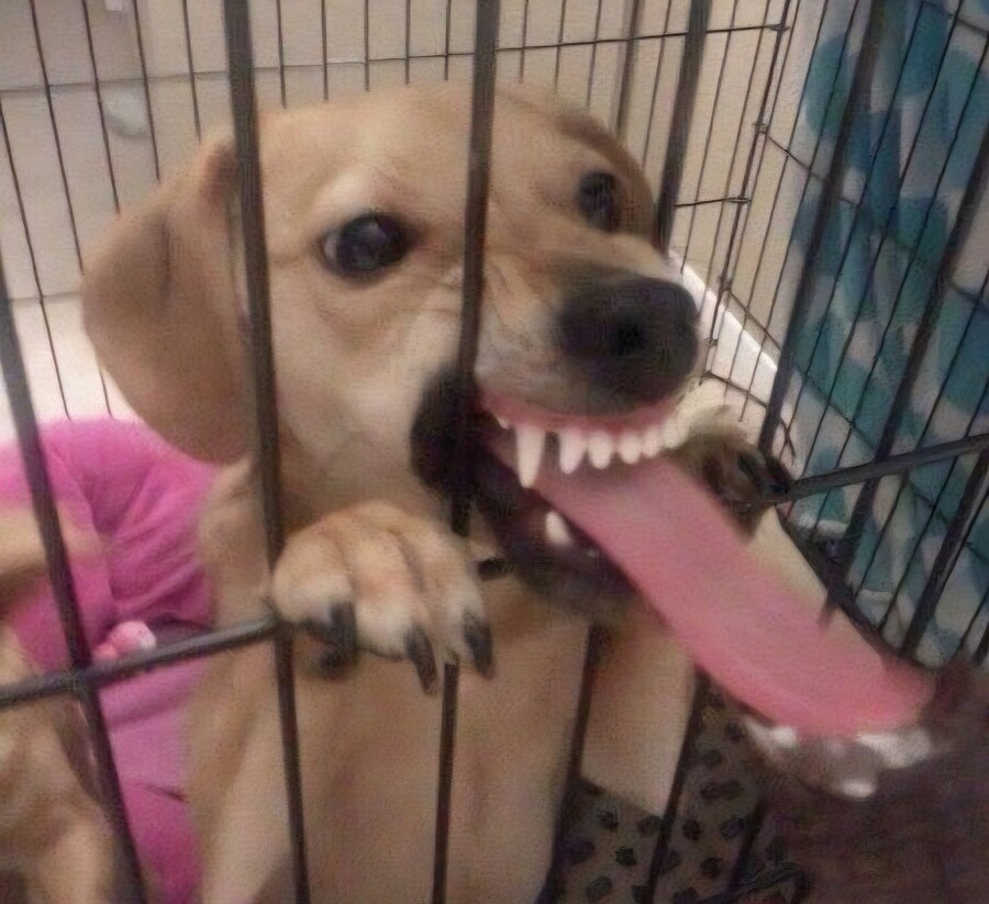 배트맨 2022 슈트가 호불호 갈리는 이유_5.jpg