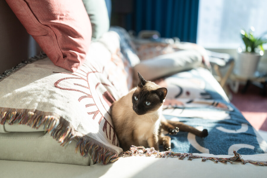 소갈비살 만원 런치세트_8.jpg