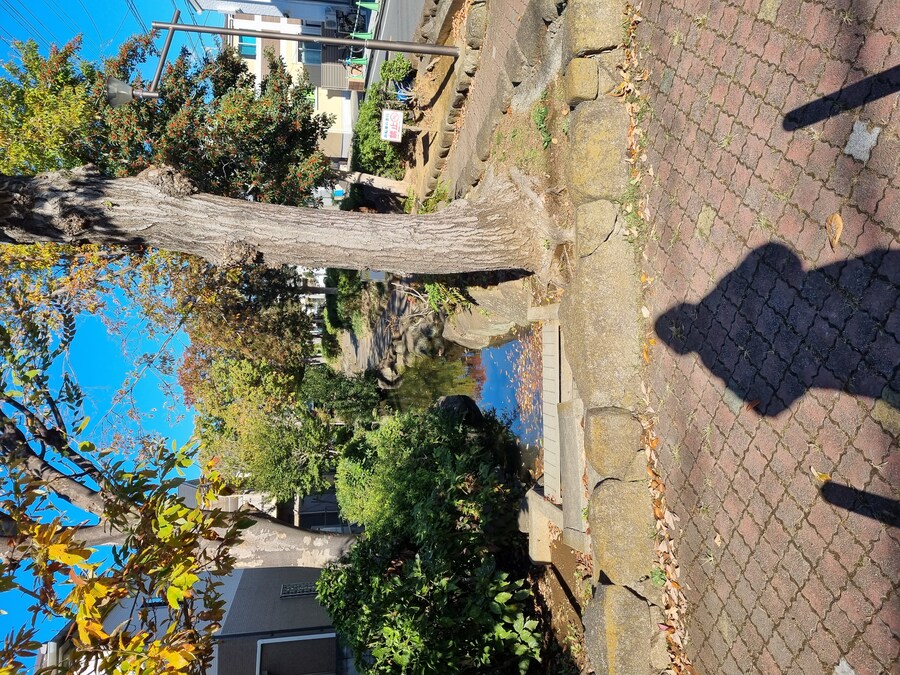 일본 워홀 27일차 시모키타자와 탐방 로지우라 카레 사무라이 & 모스크 커피_2.jpg