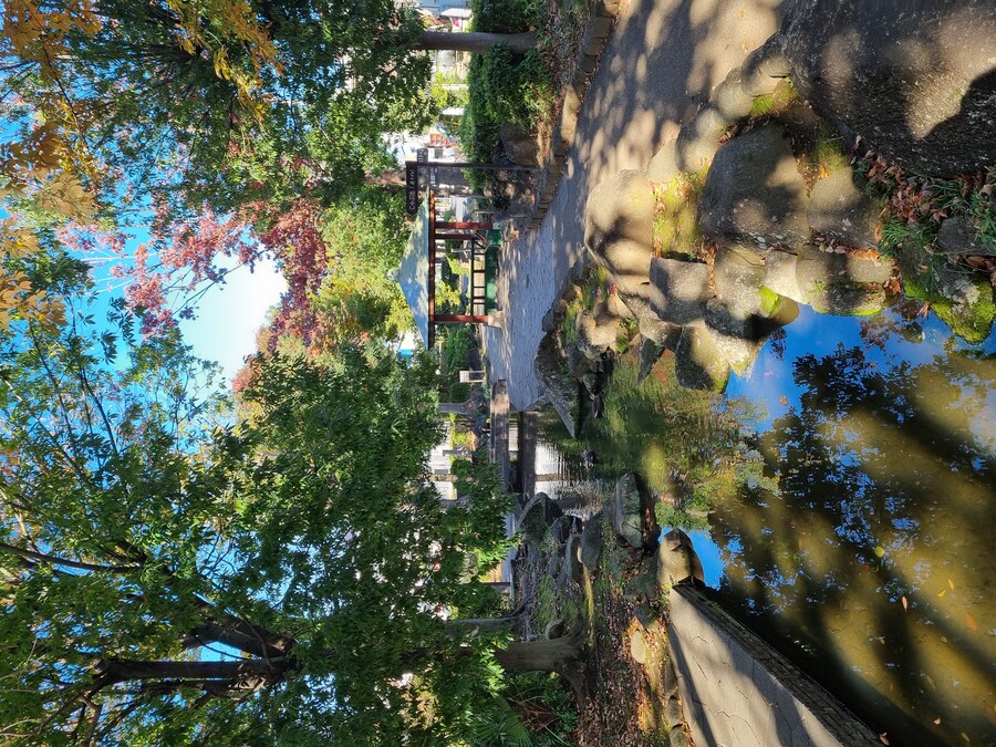 일본 워홀 27일차 시모키타자와 탐방 로지우라 카레 사무라이 & 모스크 커피_6.jpg