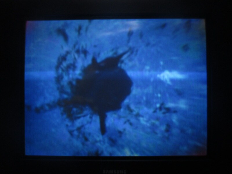 청의 6호 안타티카 (8)_21.jpg