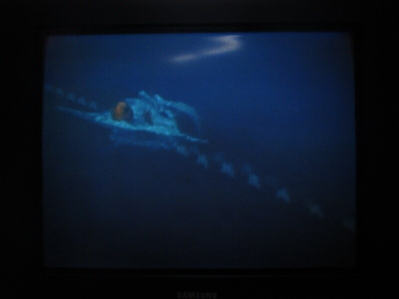 청의 6호 안타티카 (8)_33.jpg