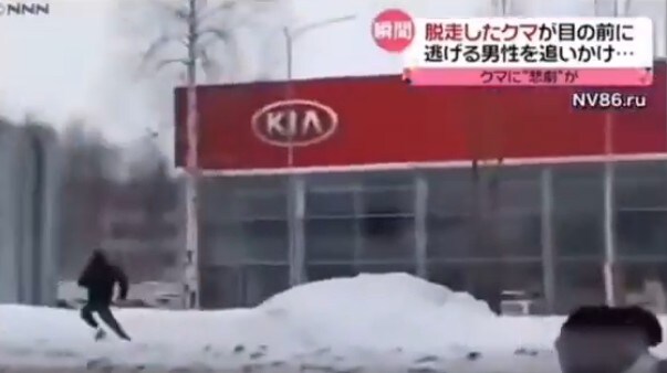 남자와 곰과 버스 그리고......_1.jpg