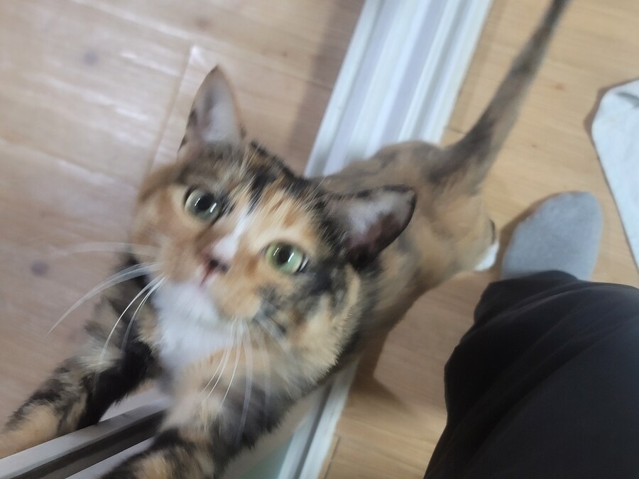 유게이 새벽배달 끝내고 돌아온 거시에요.._3.jpg