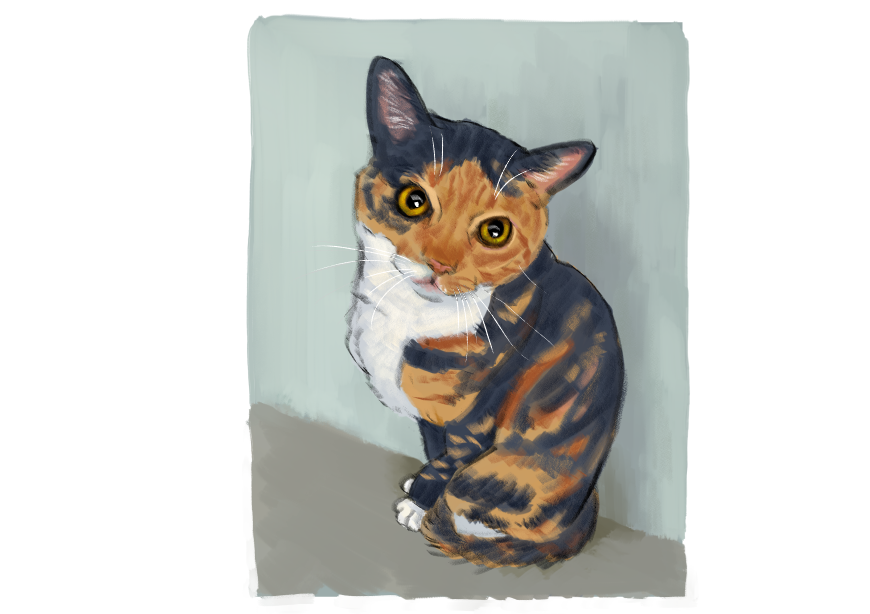 남의집 고양이 보고가이소_1.png