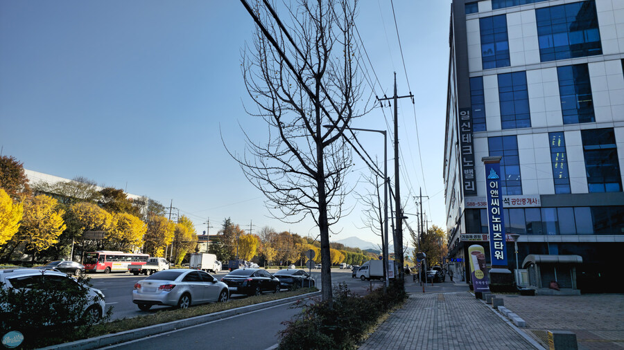 대구 성서 계대 12000원 짜리 뷔페_1.jpg