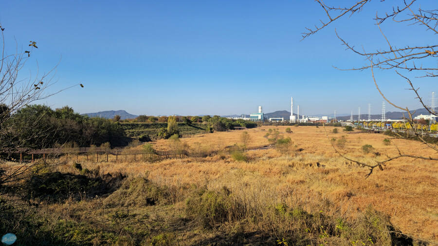 대구 성서 계대 12000원 짜리 뷔페_20.jpg