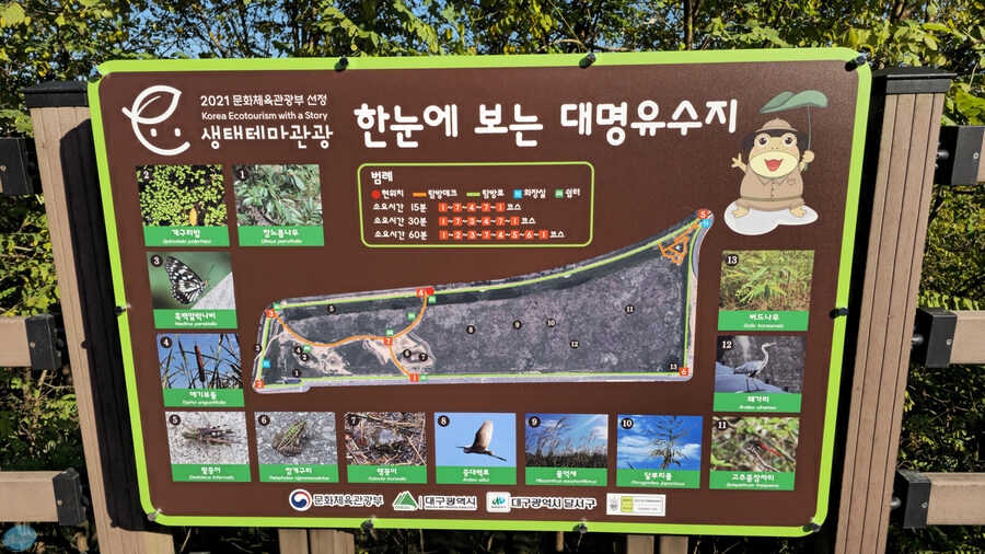 대구 성서 계대 12000원 짜리 뷔페_21.jpg