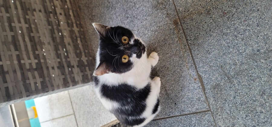 빵찿아서 성삼재 까지 가보았다 [뻥]_6.jpg