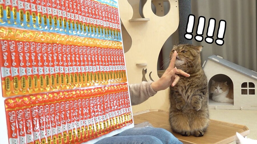 아... ㄹㄹ 너무 좋아 ㅠㅠ.jpg_10.jpg