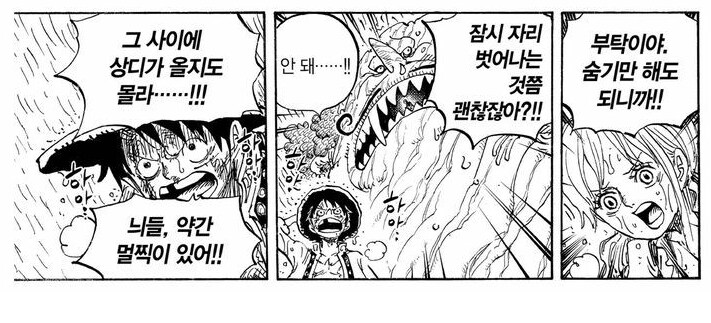 원피스 루피가 전투시 우선 보호하는 동료들_13.png