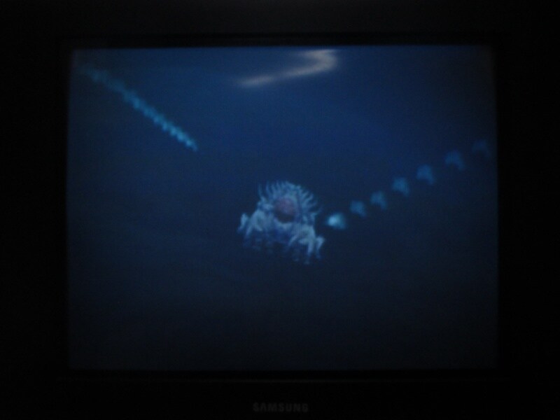 청의 6호 안타티카 엔딩_35.jpg