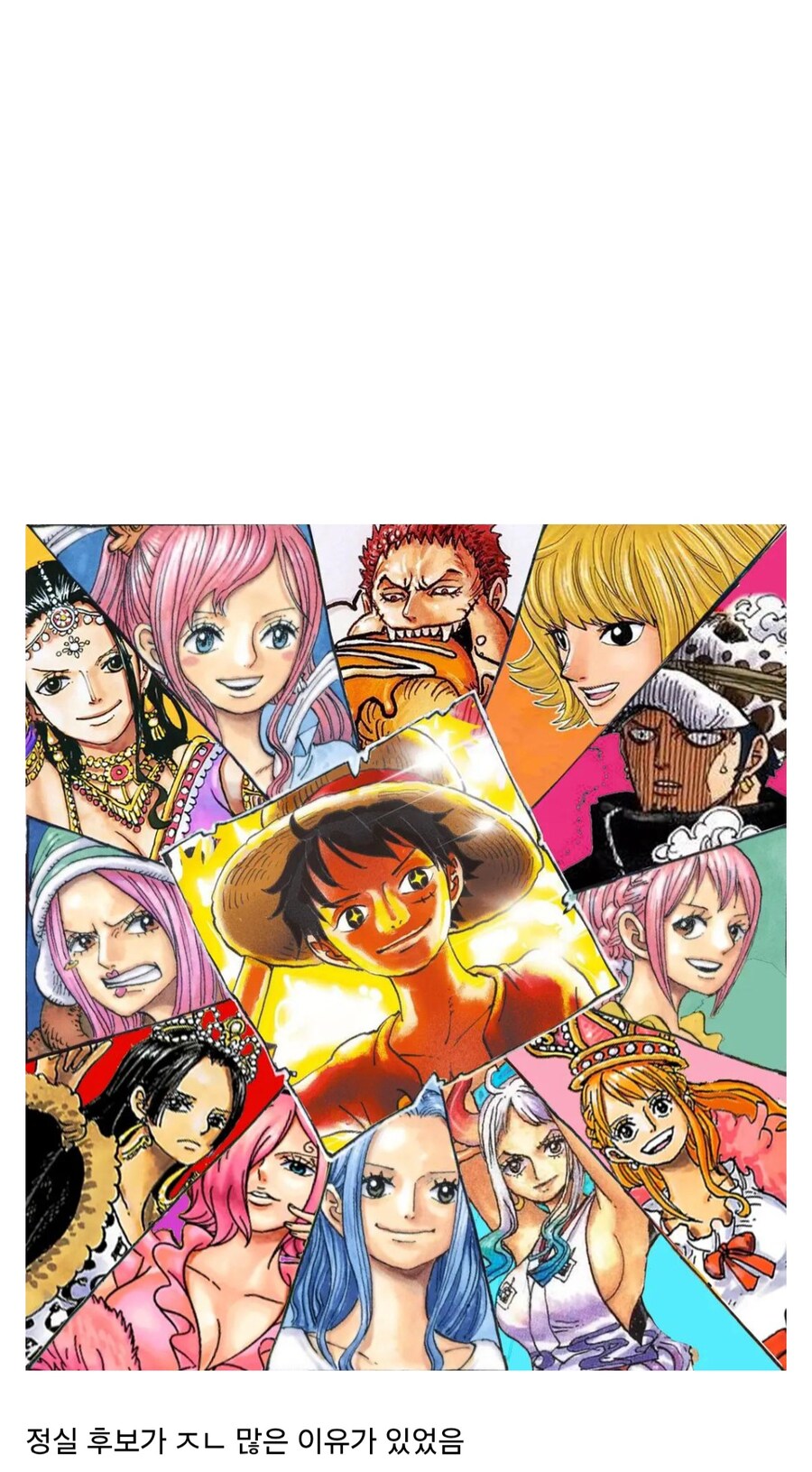 원피스) 의외로 작가 오피셜인거_2.jpg