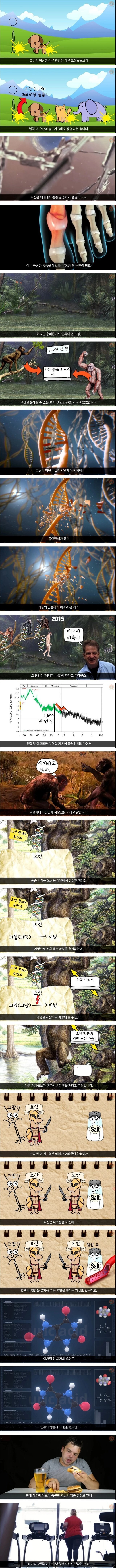 인간이 통풍에 걸리는 이유.jpg_1.jpg