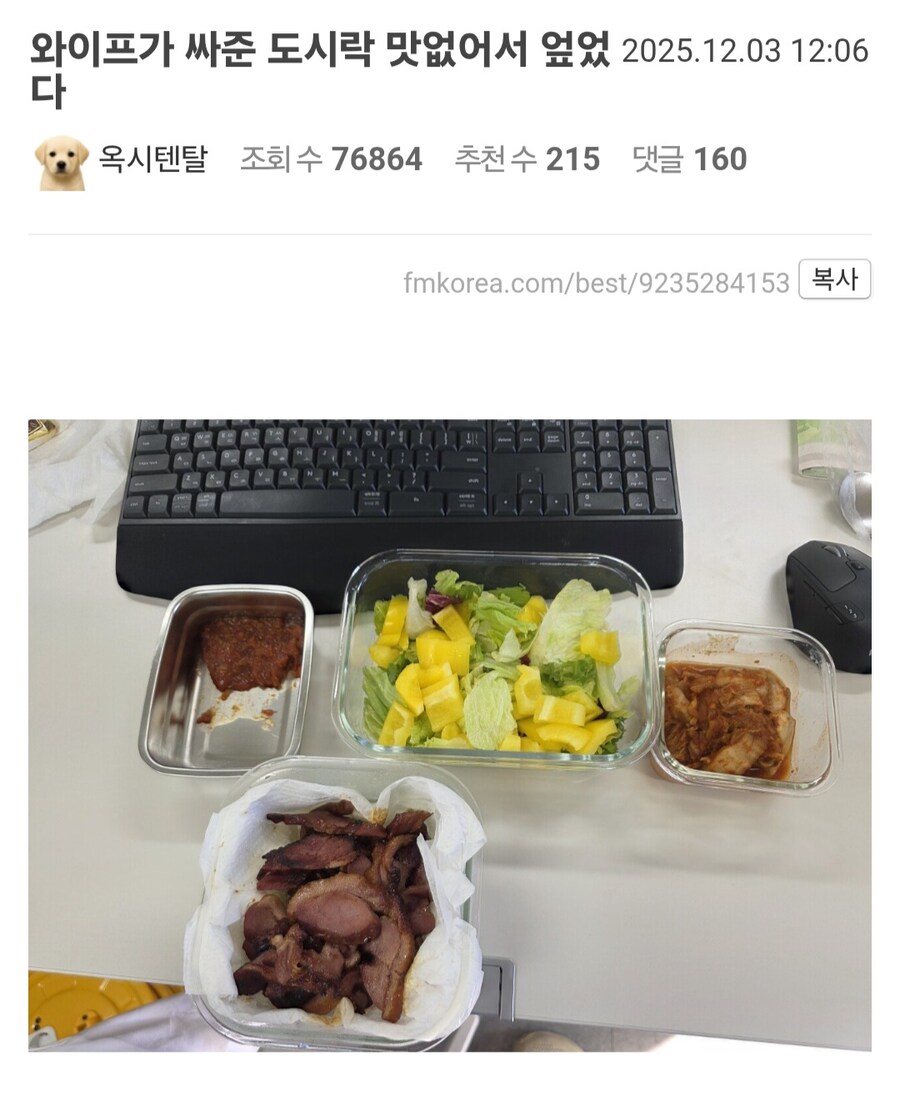 와이프가 싸준 도시락 맛없어서 엎었다_1.jpg