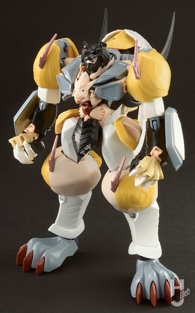 [반다이] 초합금혼 용호왕 / 호룡왕 HJ 게재 정보 2_14.jpg