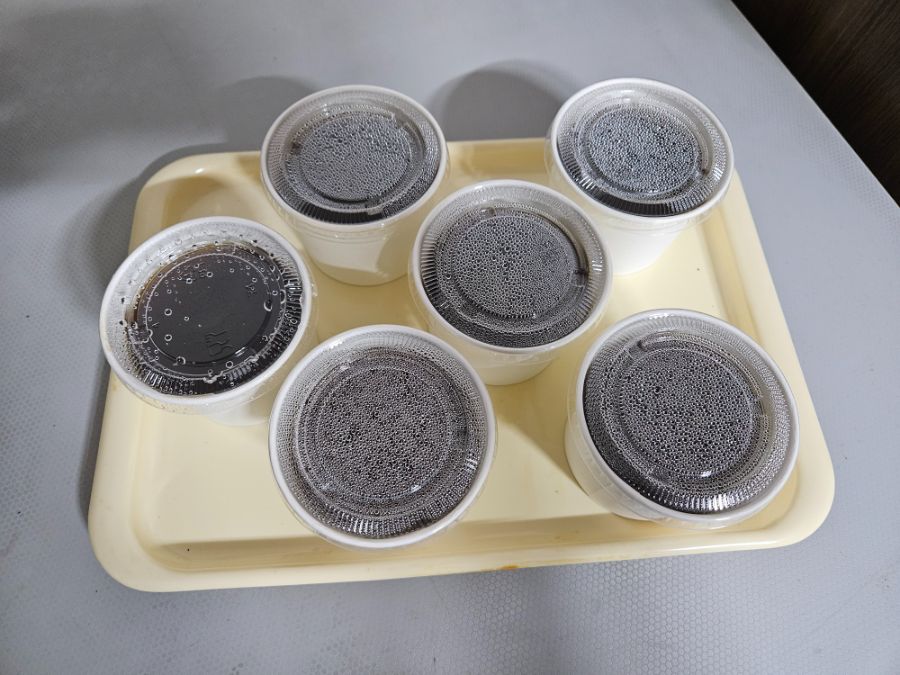 머리에 안테나를 단 초능력자가 좋아하는 것_2.jpg