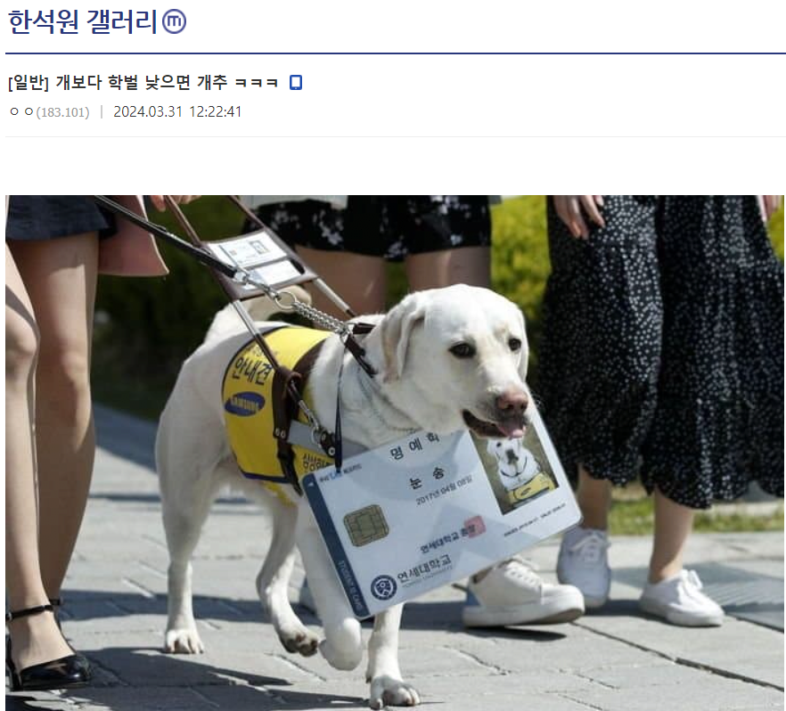 개보다 학벌 낮으면 개추_1.webp