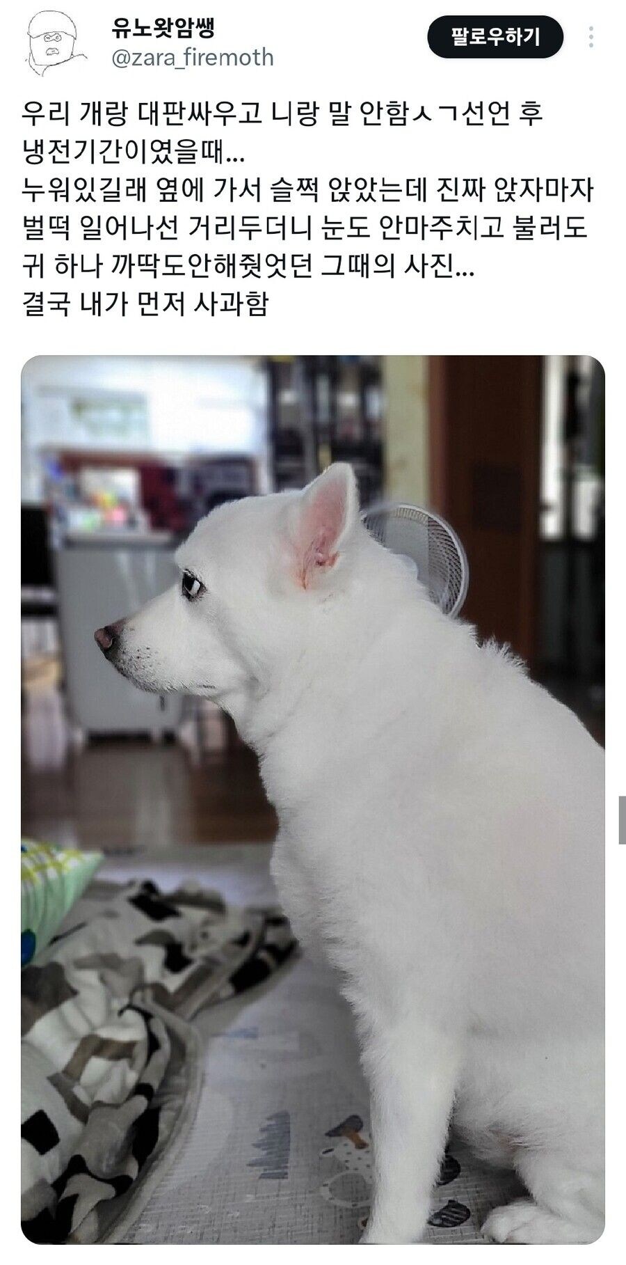 개랑 대판 싸우고 삐졌을 때_1.jpg