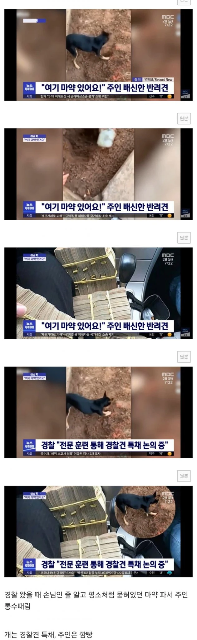 주인을 배신하고 경찰에 넘긴 반려견.JPG_1.webp