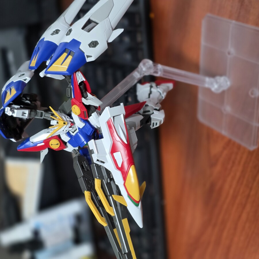 RG윙제로 포징좀 잡아봤습니다_7.jpg