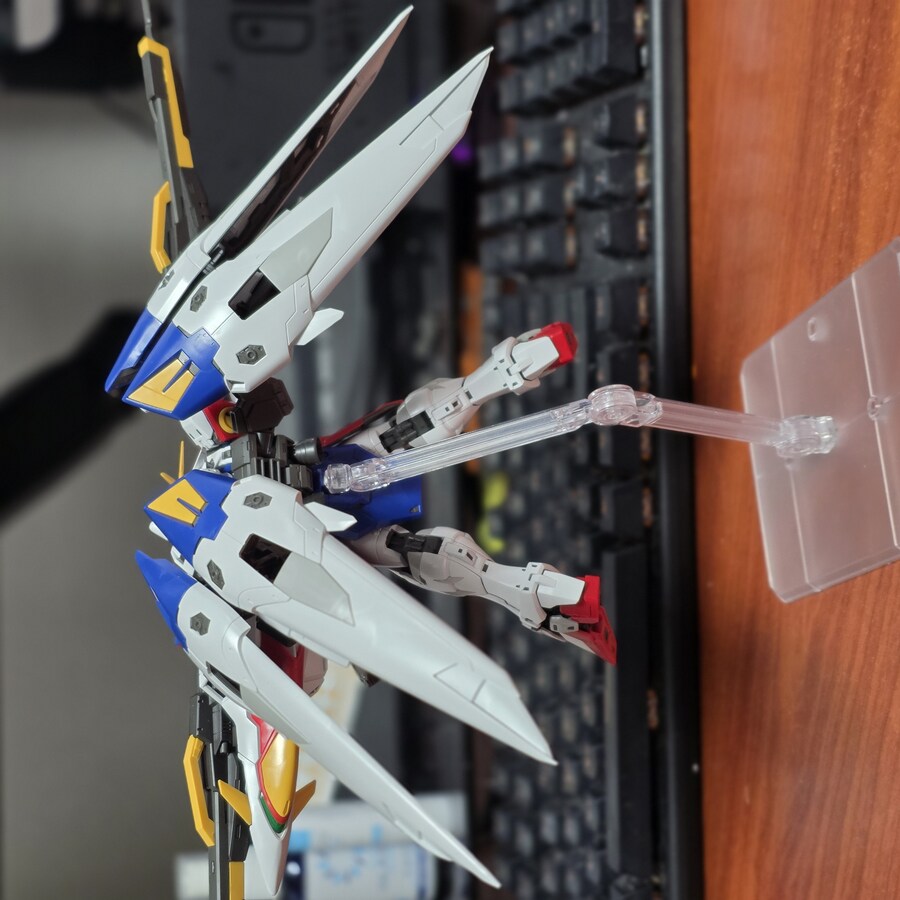 RG윙제로 포징좀 잡아봤습니다_16.jpg