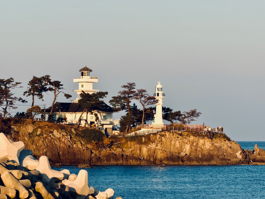 감포항과 수족관이 있는 카페_6.jpeg