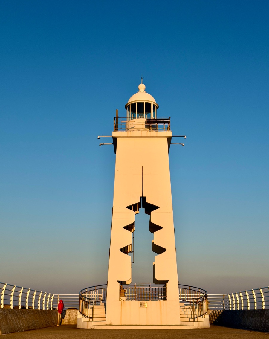 감포항과 수족관이 있는 카페_8.jpeg