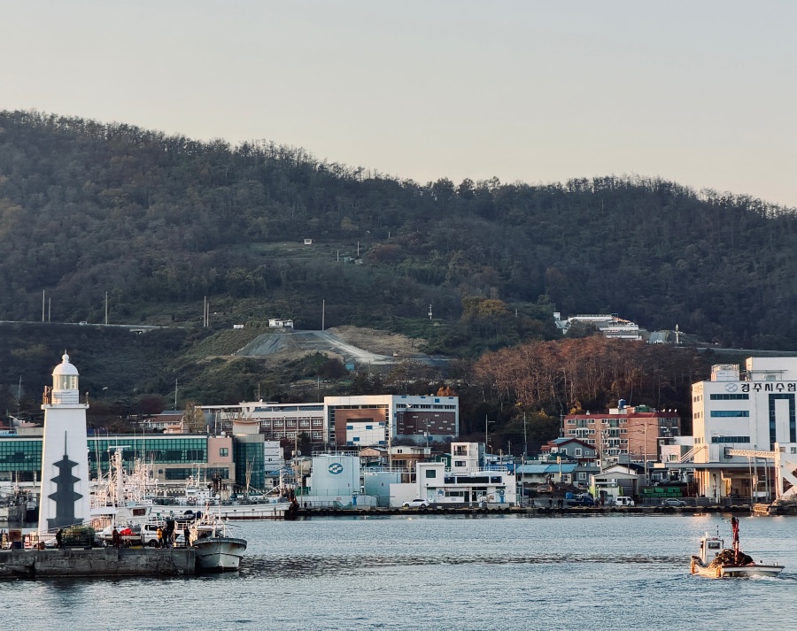 감포항과 수족관이 있는 카페_9.jpeg