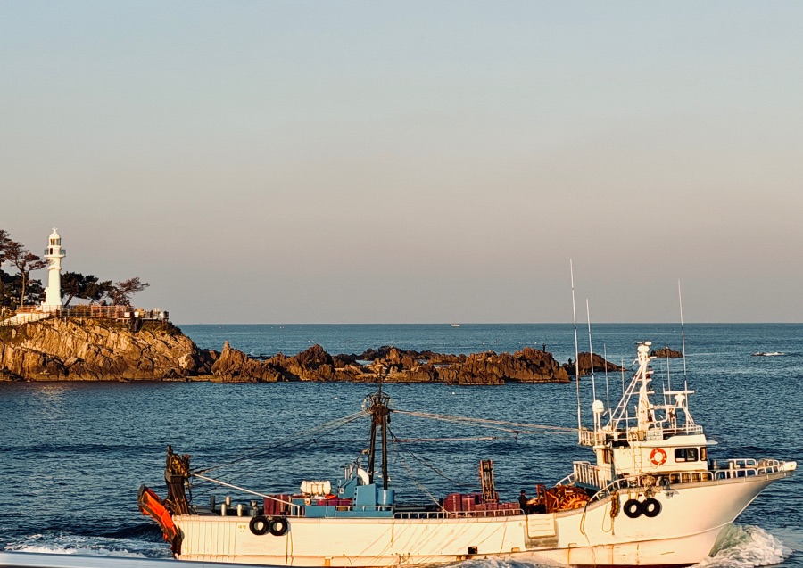 감포항과 수족관이 있는 카페_13.jpeg