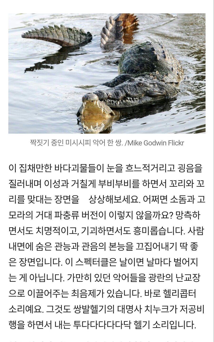 수상할 정도로 표현력이 좋은 기사_1.jpg