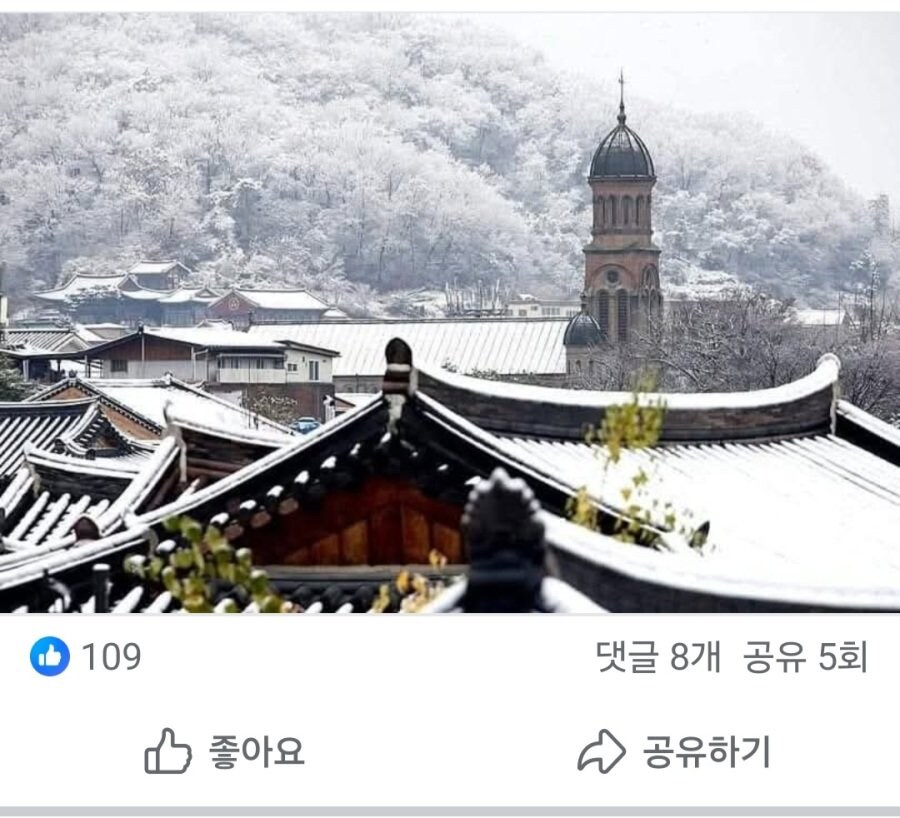 전주 전동성당 비판하는 사람.jpg_2.jpg