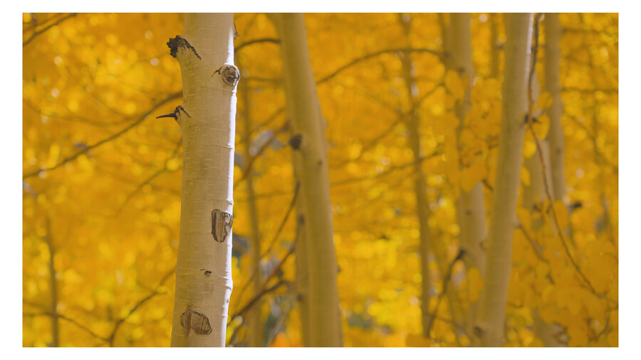 부동산말고 단풍 보고 힐링하고 왔습니다._3.jpg