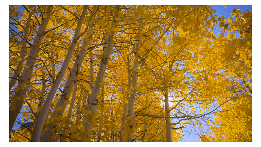 부동산말고 단풍 보고 힐링하고 왔습니다._2.jpg