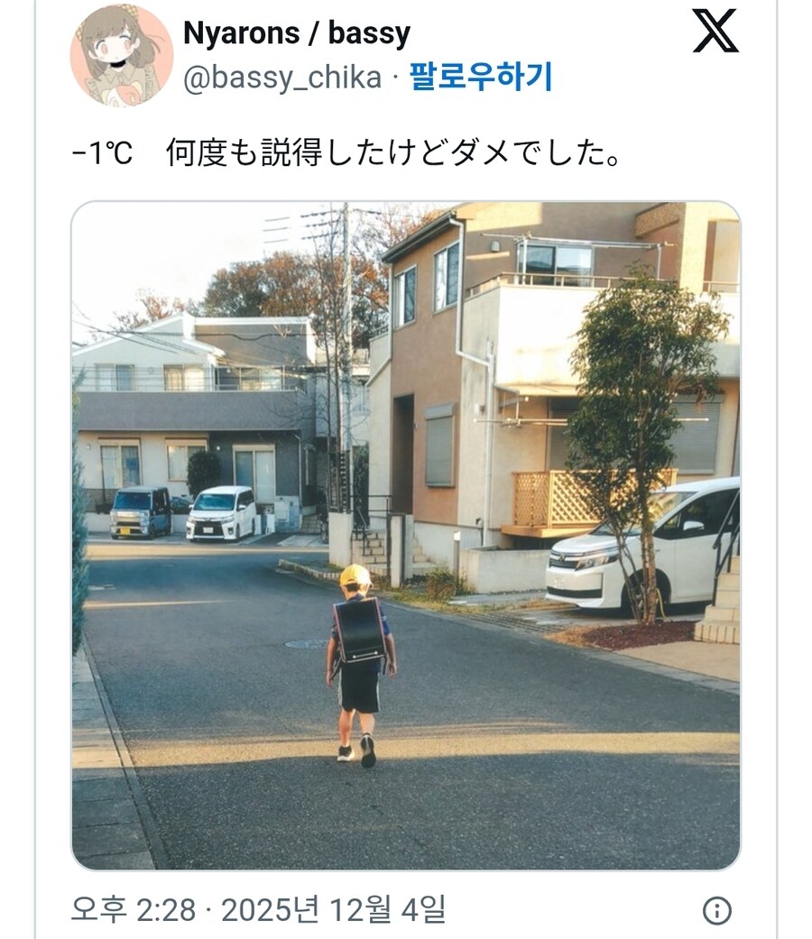 영하로 내려간 일본 도쿄 근황_1.jpg