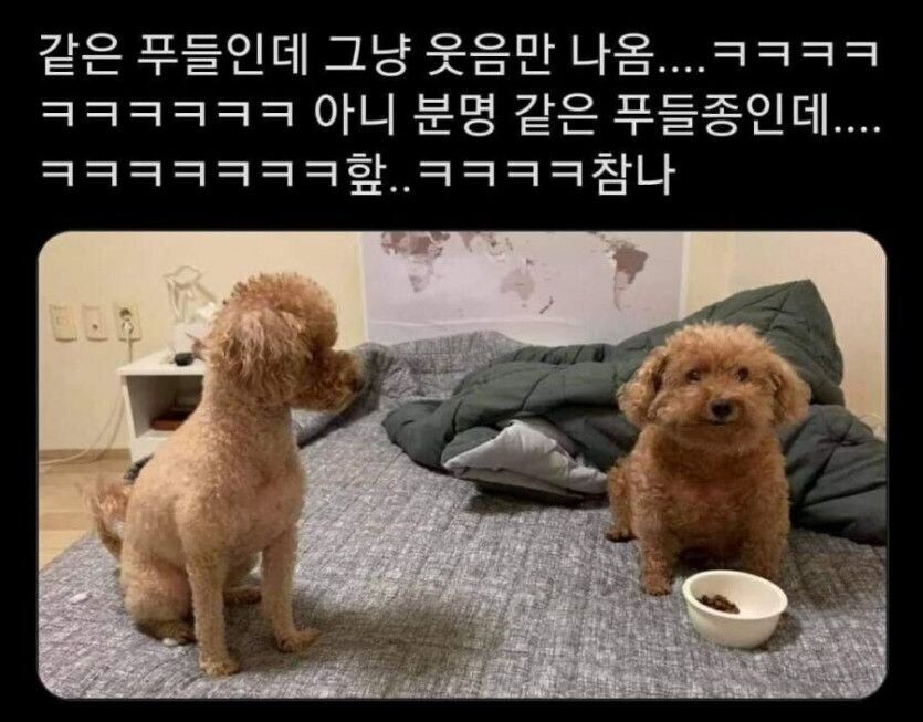나는 어째 한국어 더빙은 계속 어색하더라_1.jpg