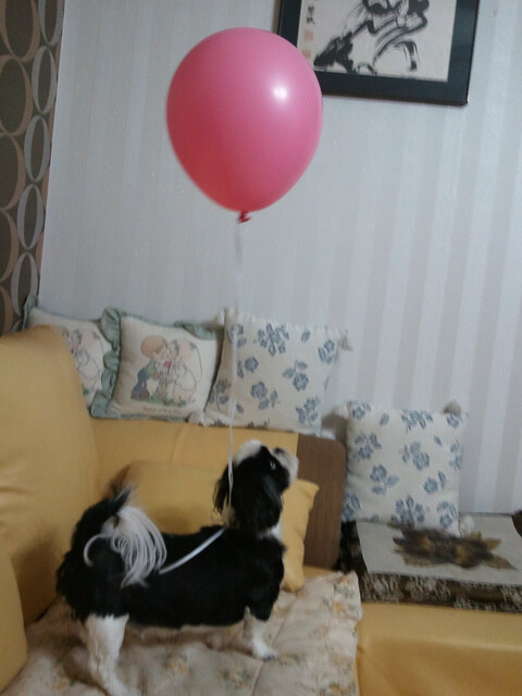 오랜 친구가 살아서 돌아왔네요._1.jpg