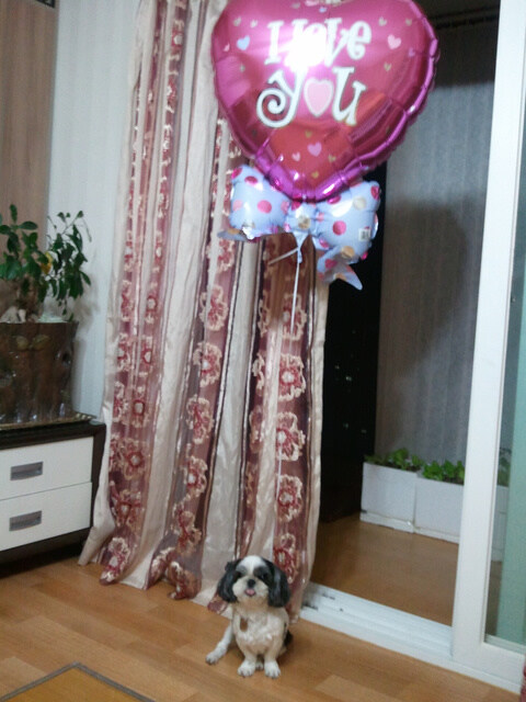 오랜 친구가 살아서 돌아왔네요._3.jpg