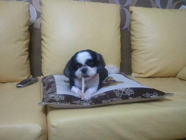 오랜 친구가 살아서 돌아왔네요._4.jpg